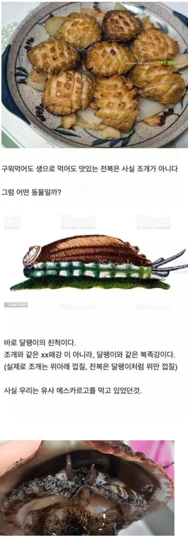 504969_0.png