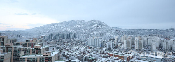 509011_6.jpg