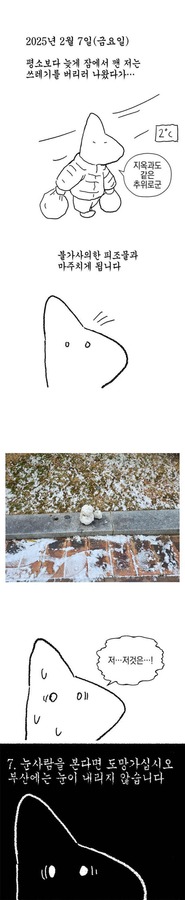 511732_0.jpg